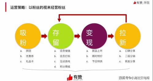 齊峰果業(yè) 從傳統(tǒng)農(nóng)業(yè)到品牌電商的戰(zhàn)略跨越與運(yùn)營策略解析
